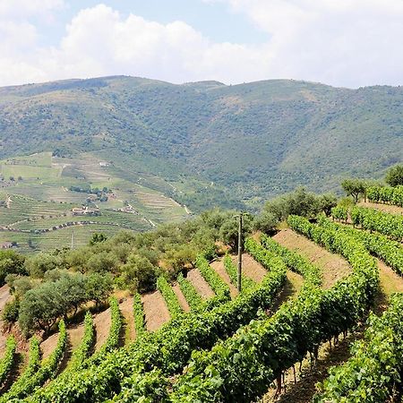 הוילה Ervedosa do Douro Quinta Do Monte Bravo - Douro - Quarto Duplo מראה חיצוני תמונה