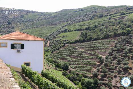 הוילה Ervedosa do Douro Quinta Do Monte Bravo - Douro - Quarto Duplo מראה חיצוני תמונה