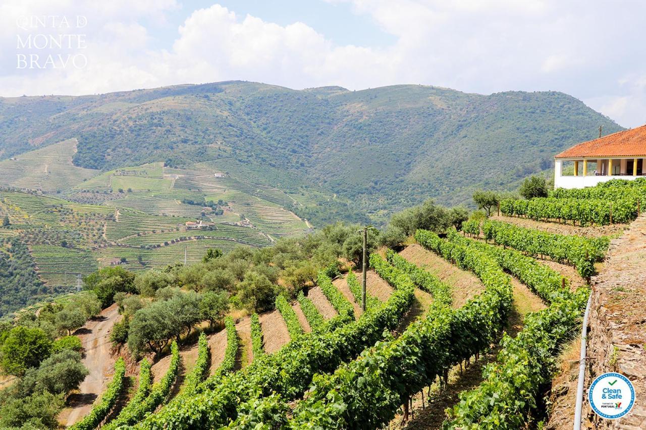הוילה Ervedosa do Douro Quinta Do Monte Bravo - Douro - Quarto Duplo מראה חיצוני תמונה