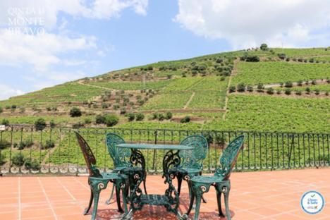 הוילה Ervedosa do Douro Quinta Do Monte Bravo - Douro - Quarto Duplo מראה חיצוני תמונה