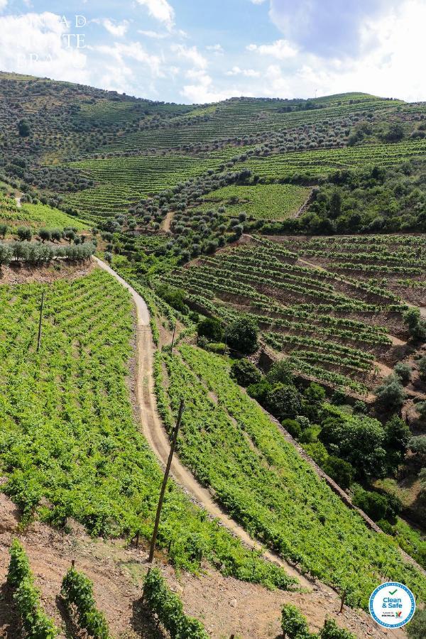 הוילה Ervedosa do Douro Quinta Do Monte Bravo - Douro - Quarto Duplo מראה חיצוני תמונה