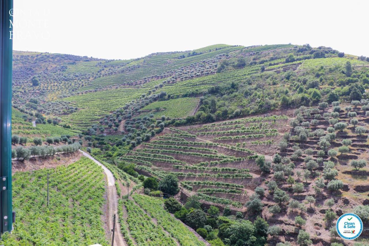 הוילה Ervedosa do Douro Quinta Do Monte Bravo - Douro - Quarto Duplo מראה חיצוני תמונה